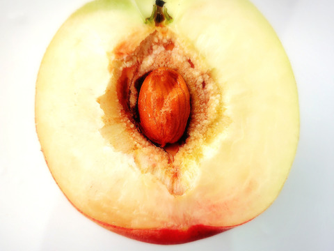 【ご家庭用】白皇（2kg箱）