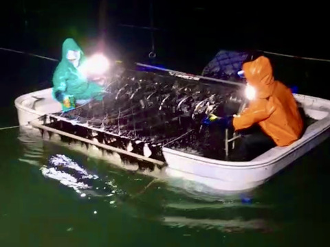 佐賀有明海産海苔　味付海苔3点セット　各八切り64枚入り