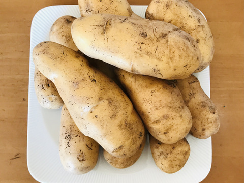 完熟‼️小さなナガイモ…
完熟‼️じゃがいも(メークイン)…
各4.5kg    旨っ❗️北海道の貯蔵野菜は今が旬‼️2箱同梱送料節約