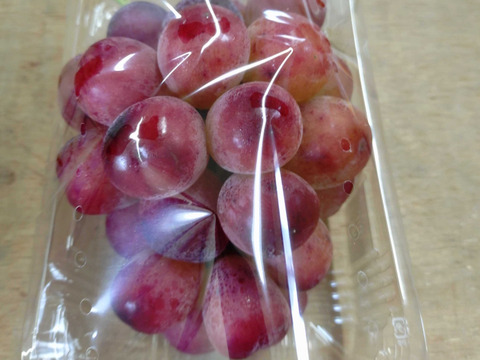 【家庭用】クイーンルージュ 約800g 長野名産・皮ごと食べられる種無しぶどう。お得な訳あり品、家庭用に 産地直送で10月上旬頃から#NGR0B008