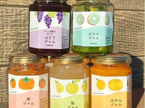 茨城県産　果物ジャム４種セット160g×4本
