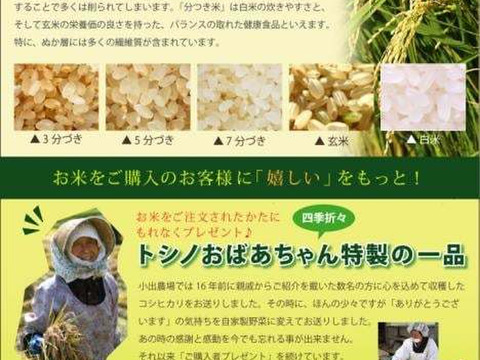 [新米]   新潟県産　コシヒカリ  5kg  無洗米  令和4年産