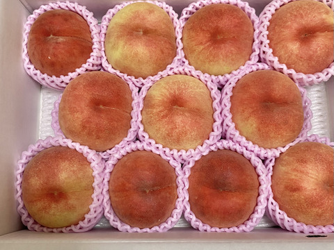 🍑【2025年8月中旬桃】3kg 8～14玉【ASIAGAP認証農場：津軽農園