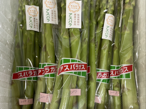 アスパラ苗 200本 asupa-1.jpg