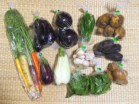 【新鮮朝採り！】3.5kg 旬のお野菜セット 中サイズ（6〜8品目）【産地直送】