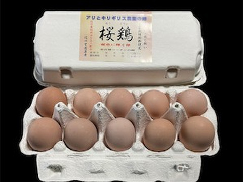 【年末年始謝恩セール】名古屋コーチンの卵 【桜鶏】6個入り平飼い・放し飼い