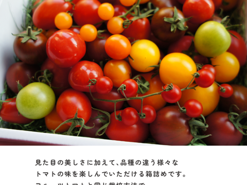 アルテminiの宝石箱☆約10種類のトマトの詰め合わせ☆約1kg☆フルーツミニトマト【冬春が旬！】