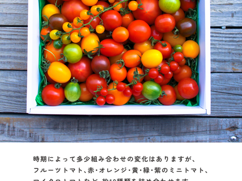 アルテminiの宝石箱☆約10種類のトマトの詰め合わせ☆約1kg☆フルーツミニトマト【冬春が旬！】