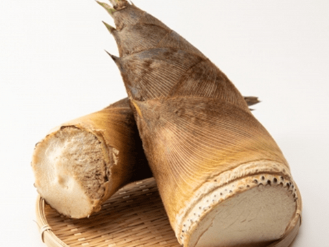 ４月１５日より発送　朝堀竹の子２.５K箱入り米糠付です。