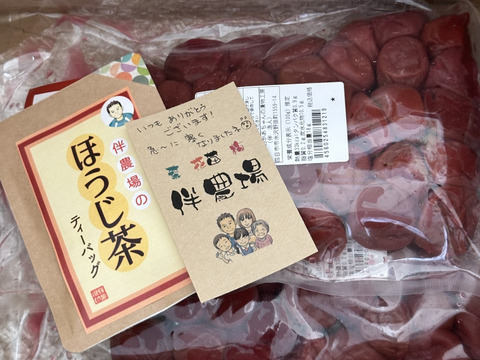 【無添加】お徳用袋♪♪　昔ながらのすっぱい味♪ おかあちゃんの梅干し 　大粒 500g　２袋　(約1㎏)