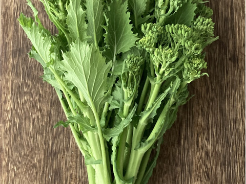 春のイタリア野菜 チーマディラーパ 西洋菜花