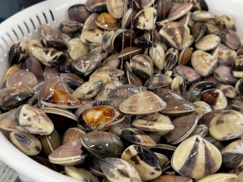 【アワード受賞福袋】
『不動丸幸運福袋』九十九里の海の幸　蛤もヒラメも楽しめる幸せセット