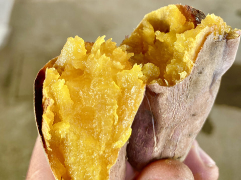 石焼窯で焼いた！ねっとりあまあま焼き芋！「安納芋」ミニ芋 1kg