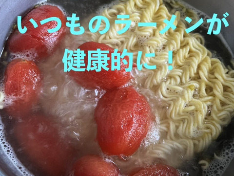 真っ赤に熟した完熟収穫！ミニトマト『アイコ』（バラ１kg）