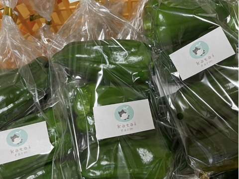 『淡路島五色産さららピーマン約1ｋｇ』ビタミンたっぷり！肉厚、美味！採りたて発送