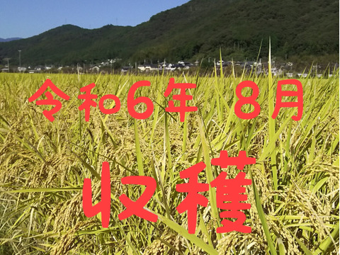 令和6年産 高知県産 コシヒカリ 玄米30㎏(袋込み)