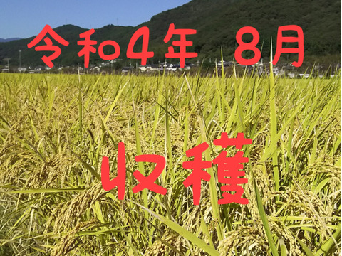 令和4年産 高知県産 新米コシヒカリ 玄米10㎏(袋込み)