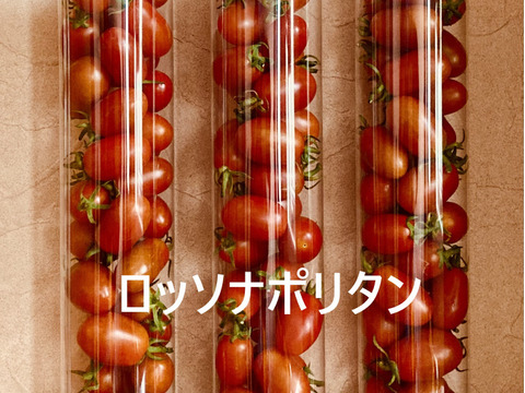 プチトマト　 ロッソナポリタン(350g×３）　詰め合わせ