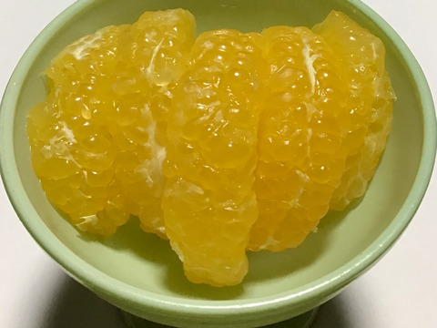 【農薬不使用】見た目悪くてごめんなさい。訳あり八朔　3キロ