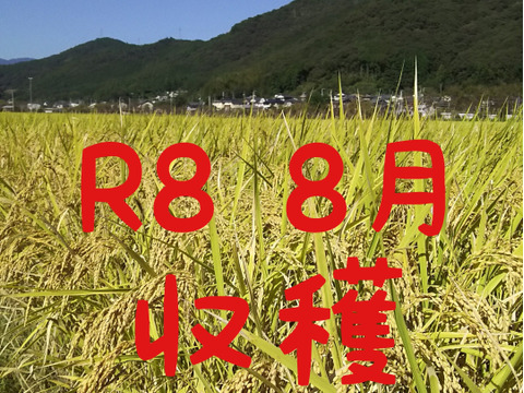 送料込み 令和8年産 高知県産 新米コシヒカリ 玄米10㎏(袋込み)
