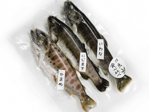 お料理やキャンプに！３種の川魚食べ比べセット