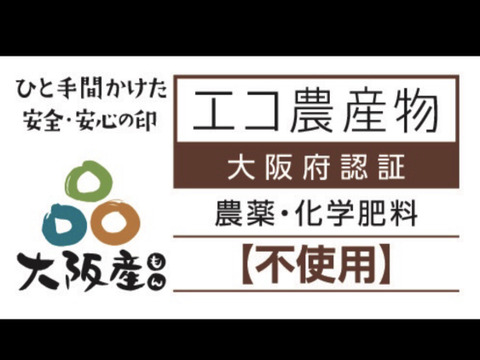 甘‼️【氷温熟成中】能勢産四万十の甘栗 「能勢甘栗」🌰500g 《10/31発送開始！》