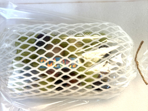 ブドウの宝石箱　4種食べ比べ『COLORS カラーズ』500g×1P　朝採り新鮮！夏の終わりのブドウ祭り 只今２０％増量サービス中！！