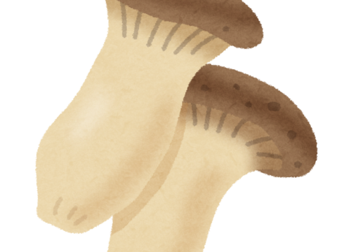 ももちゃん様専用品