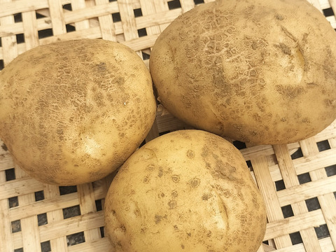 【農薬化学肥料不使用】【訳あり】昔ながらのホクホク系じゃがいも 男爵  新じゃが 箱込み5.0kg