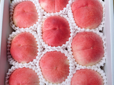 あら川の桃【硬い桃】桃夭 小箱(1.7kg)