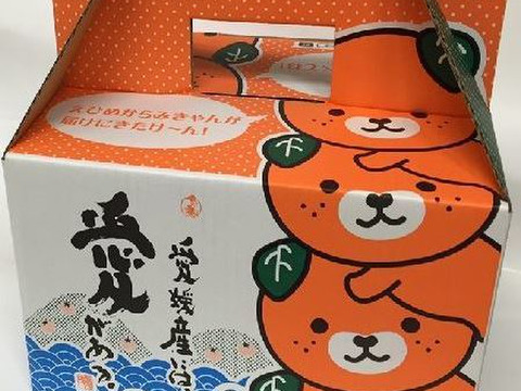 愛媛県産 柑橘 みかん 詰め合わせ セット 3kg
