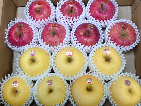 【岩手・紫波町】🍎🍏特別栽培「サンふじ」「はるか」の詰め合わせ（家庭用5kg・14～16玉）