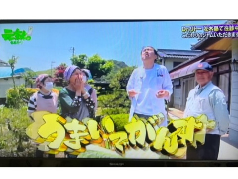【柑橘本来の美味しさを実感！】〔食べ比べ〕広島県佐木島のジャム3本【農薬・除草剤不使用、無添加】TVで多数取り上げ！！