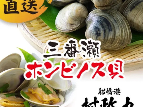 【10セット限定】村政丸スペシャル ホンビノス貝　極み
