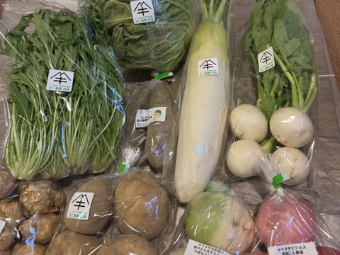 定期便設定（お届け日は２～３日前後します）【たっぷりいろいろ　２０００円セット】農家人が選ぶ旬野菜のおまかせセットです。季節ごとの旬の世界農業遺産ブランド野菜を厳選してお届け致します。