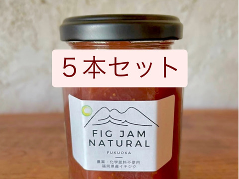 お得な5本セット：全て不使用【農薬・化学肥料・除草剤・着色料・保存料】低糖イチジクジャム　無花果・いちじく・イチヂク