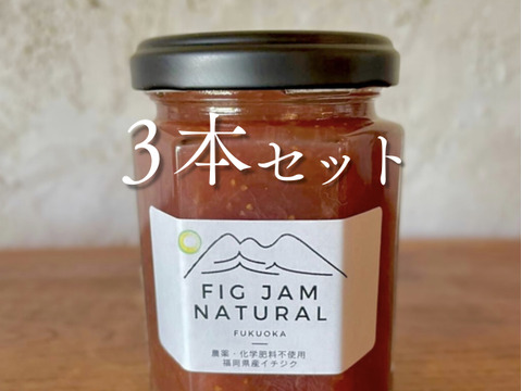 お得な3本セット：全て不使用【農薬・化学肥料・除草剤・着色料・保存料】低糖イチジクジャム　無花果・いちじく・イチヂク