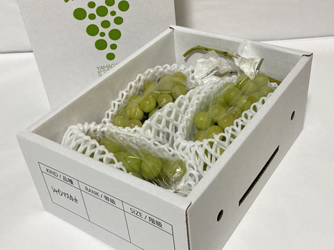 「シャインマスカット」約400g 3房入り「数量限定」「期間限定」