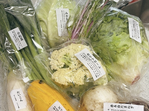 【アワード受賞福袋】旬のVEGE箱「厳選8品目セット」
食べチョクアワード野菜2位受賞の旬のVEGE箱から、特に食べて欲しい8品種を厳選しました。レギュラーサイズだと多すぎて食べきれない方にもぜひ♪
