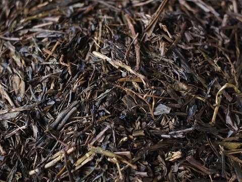 ほうじ茶（30g） 農薬・肥料不使用 加茂自然農園のお茶