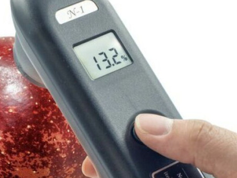 青森県弘前市産りんご 『新登場』『夢のコラボ』『代々受け継いだ懐かしい自然の味』蜜入り糖度１３度以上 家庭用完熟葉とらずサンふじ、王林ミックス約5kg18個〜23個入り