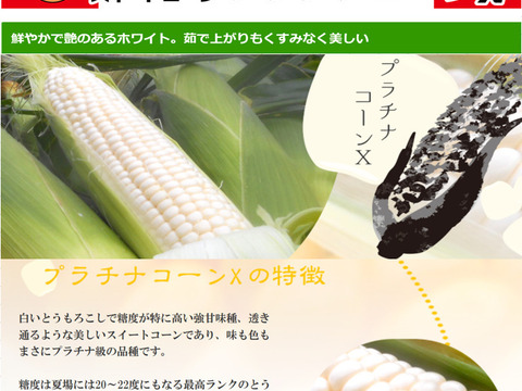 極甘ジューシーなホワイトコーン（プラチナコーン）６本入り