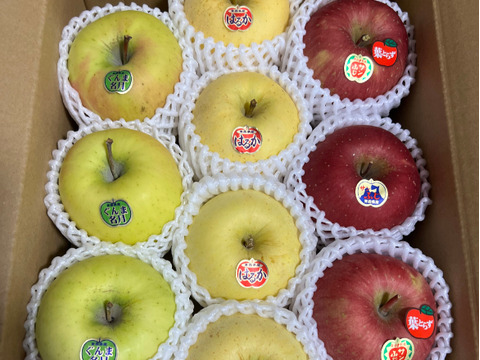【晩生種】🍏🍎人気の三種🍏サンふじ・はるか・ぐんま名月🍎葉とらず入り品種ミックス🍎３キロ