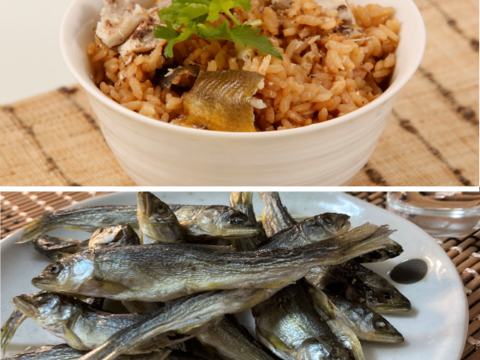 国産稚鮎『うまみ干』×６袋、鮎まんまの素×2袋セット！