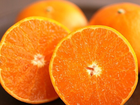 【食べ比べ】旬の柑橘セット約2.8k〜3.2k