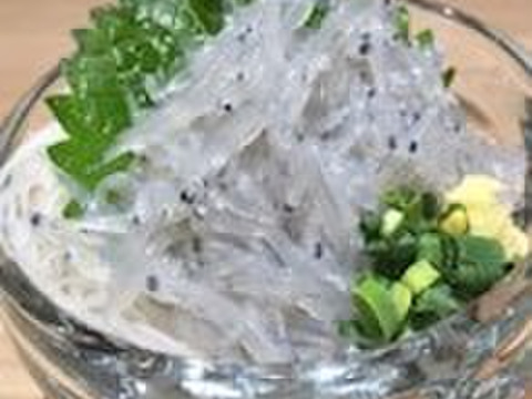 【お得用】冷凍生しらす1kg(100g×10袋)