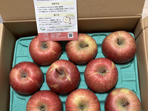 【王道サンふじ】　3㎏　8～12玉　本場青森りんご　農家直送　元気なりんご