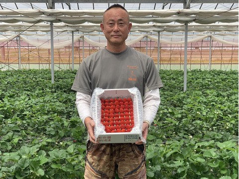 【希少あまりん】小粒たっぷり２Kg 朝採れ🍓