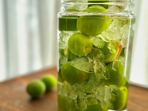 【青梅 約1kg】奈良・吉野の特別栽培梅（品種おまかせ）｜梅しごとにぴったり♪