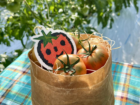 むぎゅっとがっしり！！べっぴん！濃旨フルーツトマト（おめかし梱包800g)